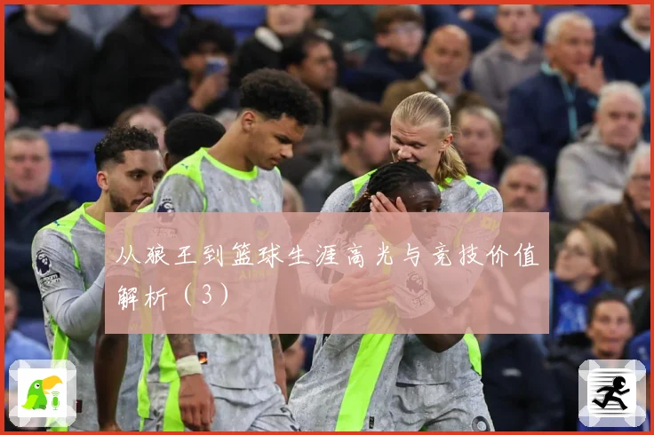 从狼王到篮球生涯高光与竞技价值解析（3）