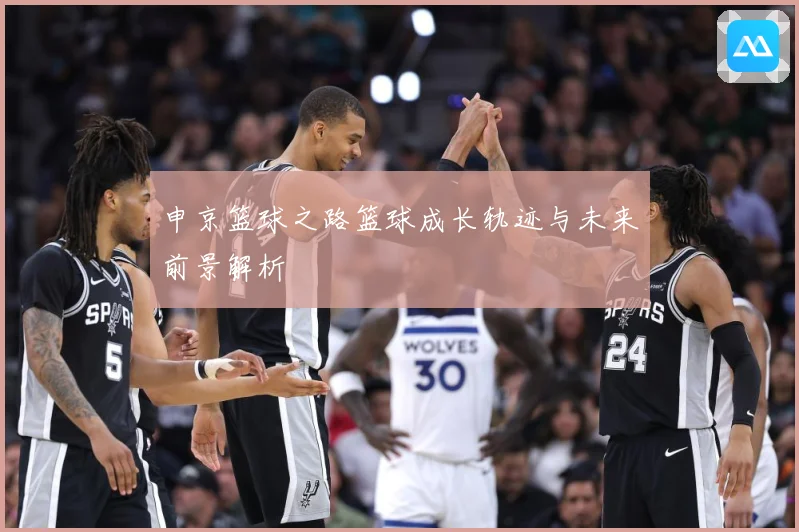 申京篮球之路篮球成长轨迹与未来前景解析